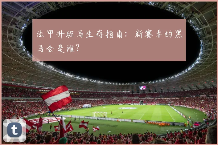 法甲升班马生存指南:新赛季的黑马会是谁?