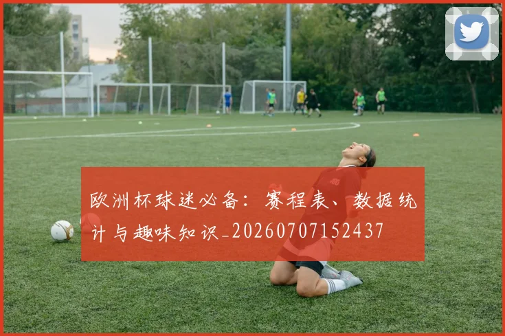 欧洲杯球迷必备：赛程表、数据统计与趣味知识_20260707152437