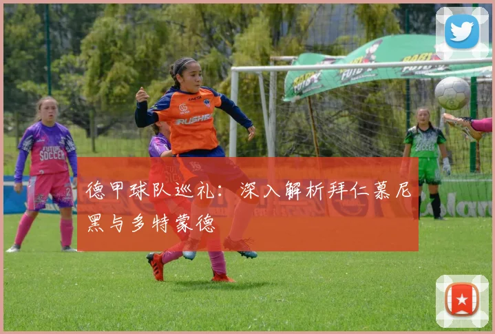 德甲球队巡礼:深入解析拜仁慕尼黑与多特蒙德